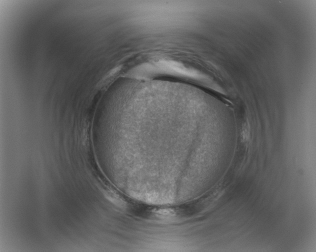 X0000062130409200512231443