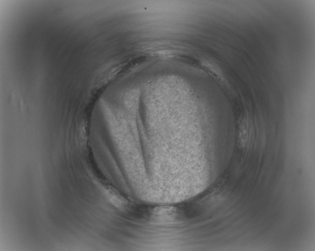 X0000062130410200512231443