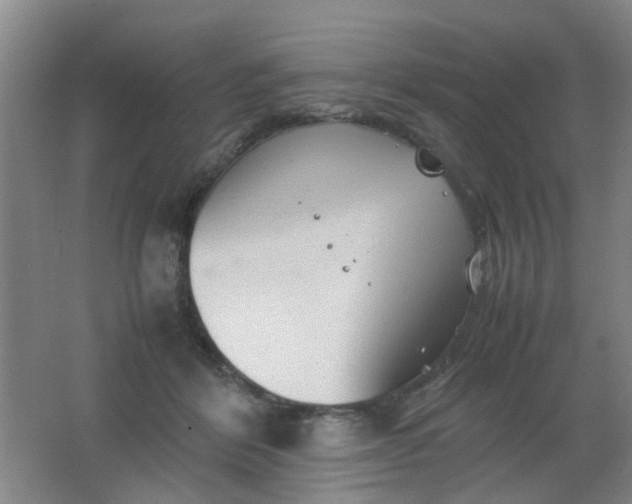 X0000062130412200512231443