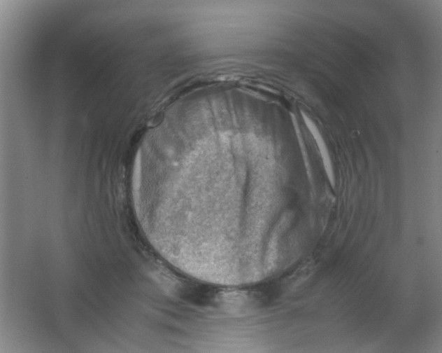 X0000062130413200512231443