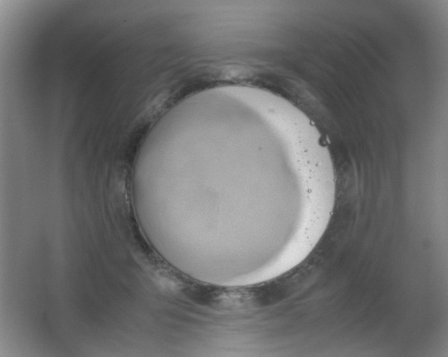 X0000062130415200512231443