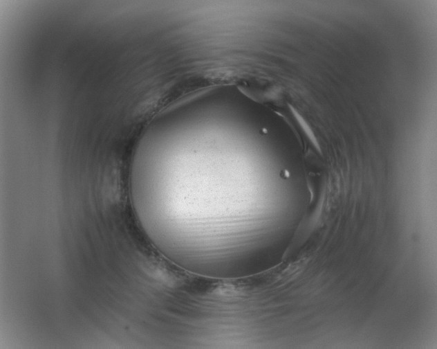 X0000062130416200512231443