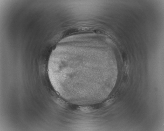 X0000062130417200512231443