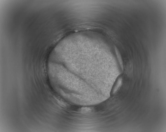 X0000062130418200512231443