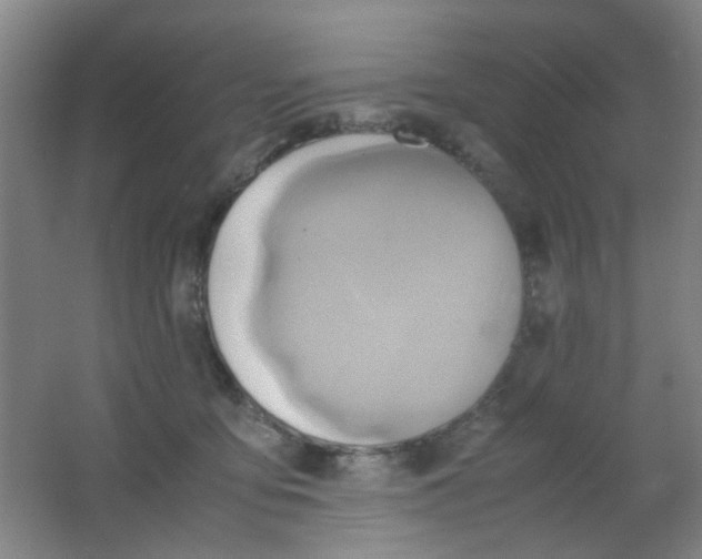 X0000062130419200512231443