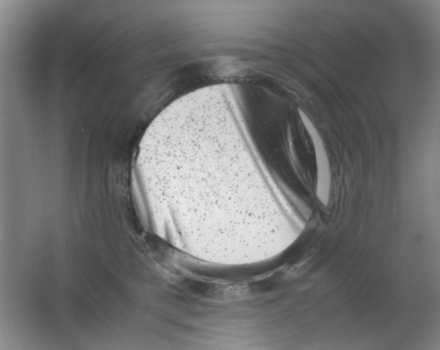 X0000062130421200512231443