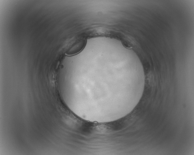 X0000062130423200512231443