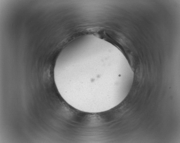 X0000062130424200512231443