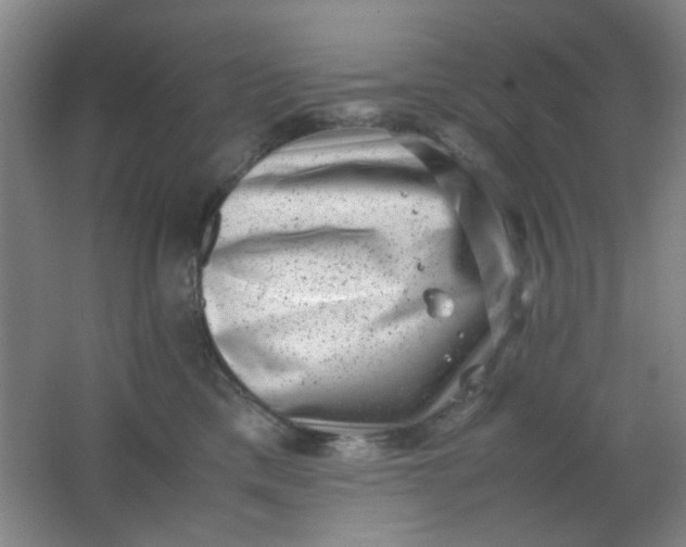 X0000062130425200512231443