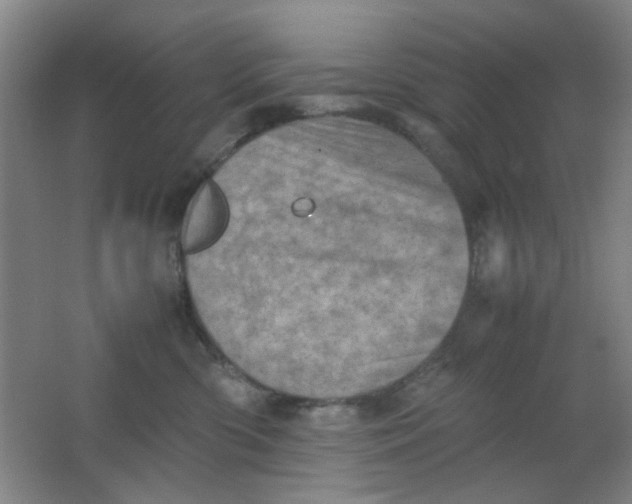 X0000062130426200512231443