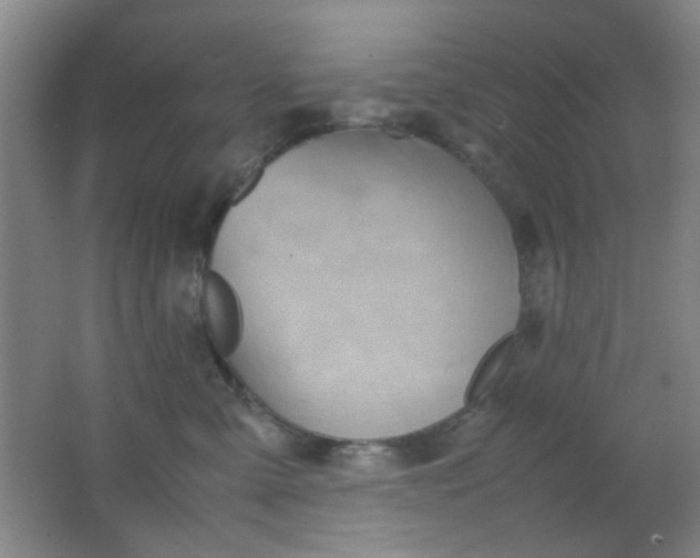 X0000062130427200512231443