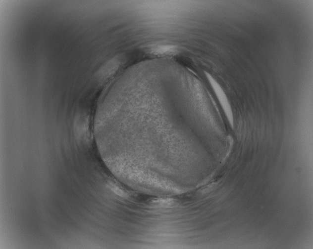 X0000062130428200512231443