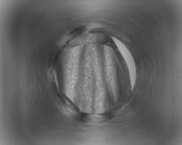 X0000062130429200512231443