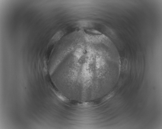 X0000062130430200512231443