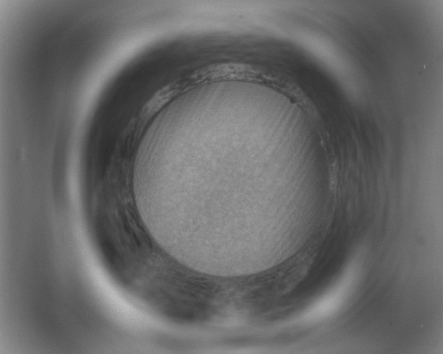 X0000062130431200512231443