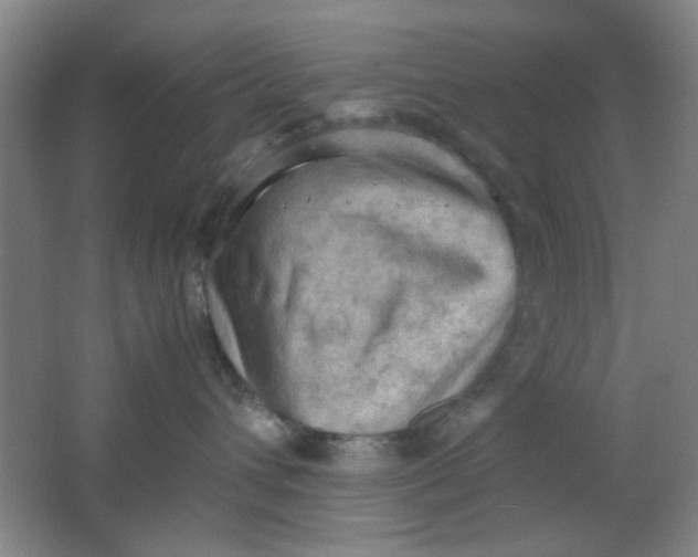 X0000062130432200512231443