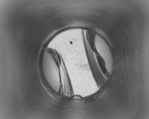 X0000062130436200512231442