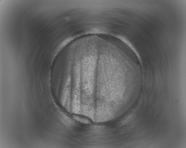 X0000062130437200512231442