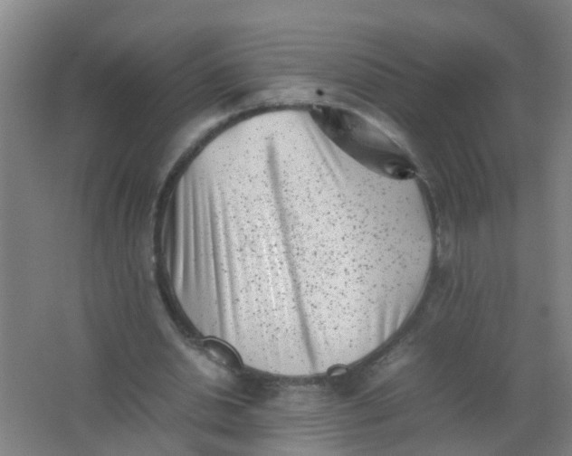 X0000062130438200512231442