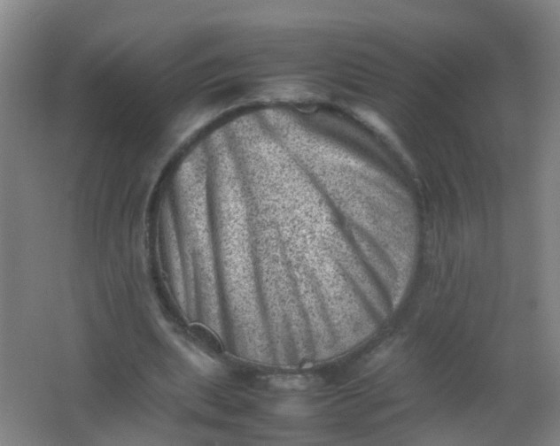 X0000062130439200512231442