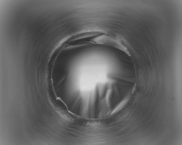 X0000062130440200512231442