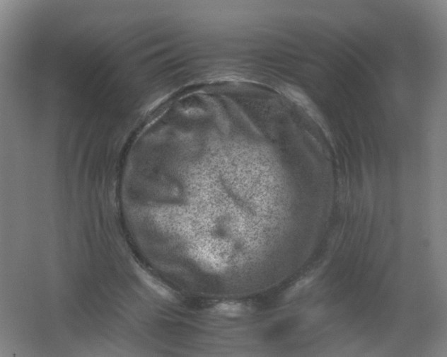 X0000062130441200512231442