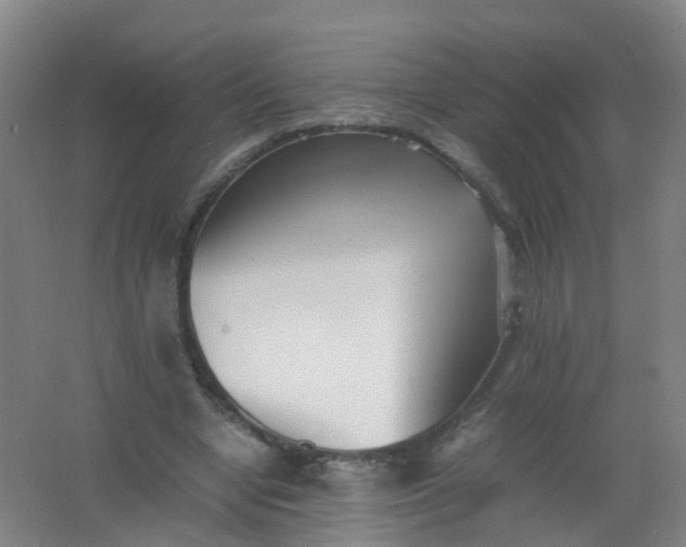 X0000062130442200512231442