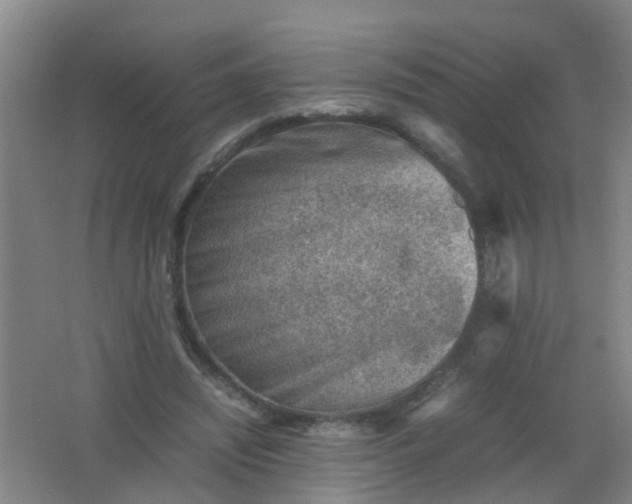 X0000062130444200512231442