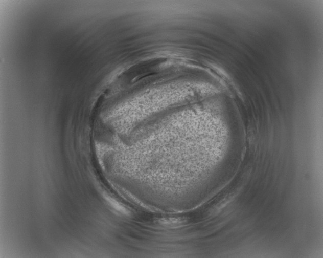 X0000062130445200512231442