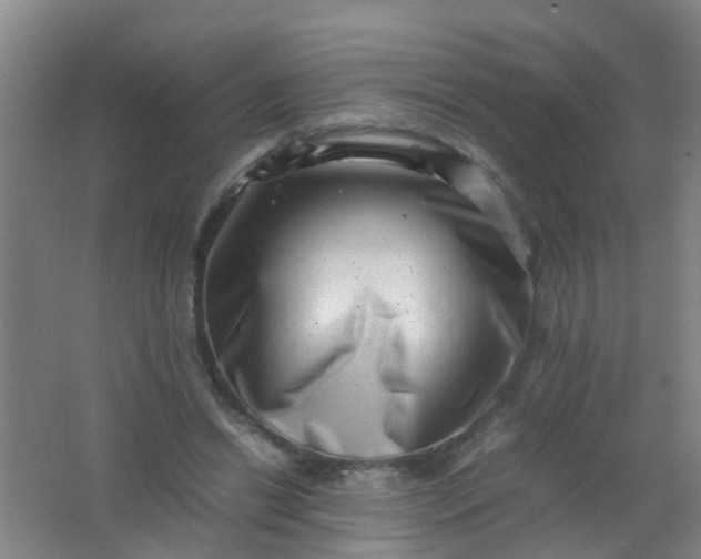 X0000062130446200512231442