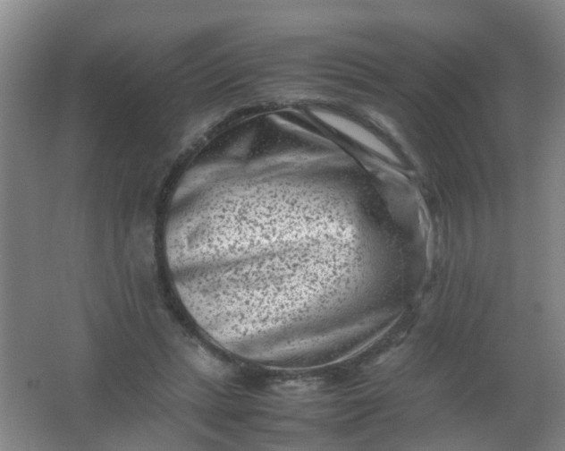 X0000062130447200512231442