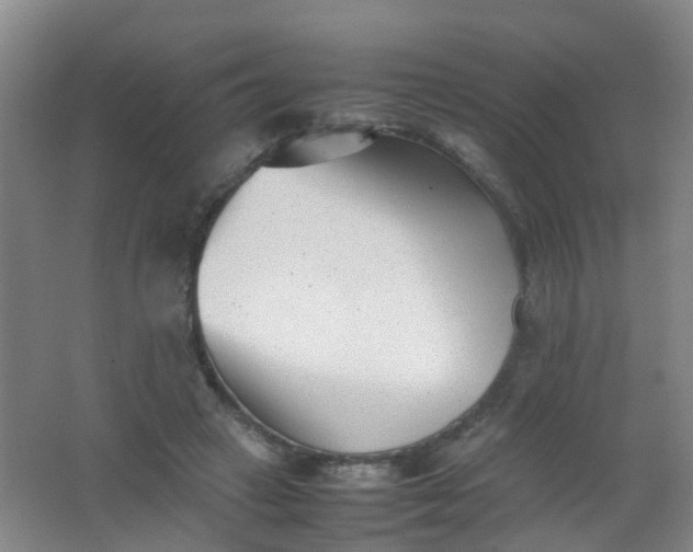 X0000062130449200512231442