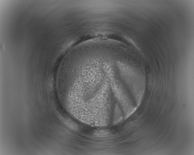 X0000062130451200512231442