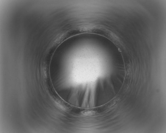 X0000062130452200512231442