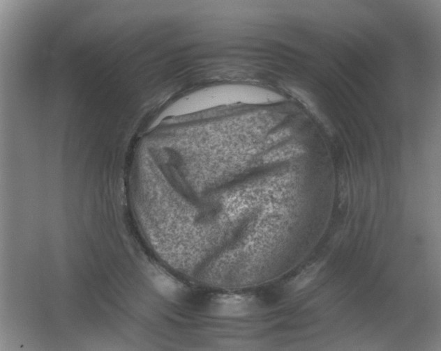 X0000062130453200512231442