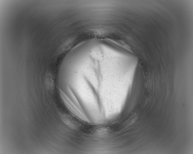 X0000062130456200512231443