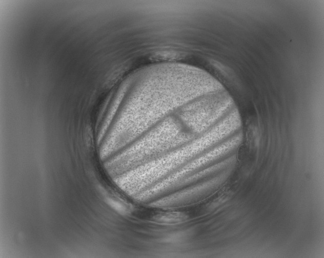 X0000062130459200512231443