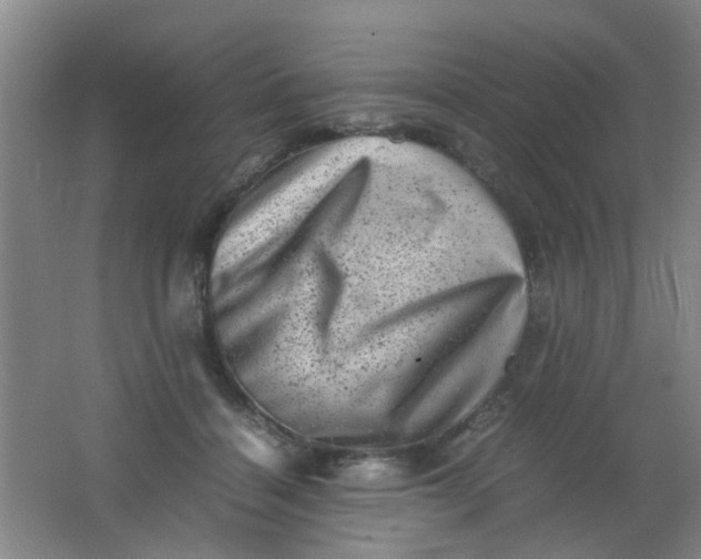 X0000062130460200512231443