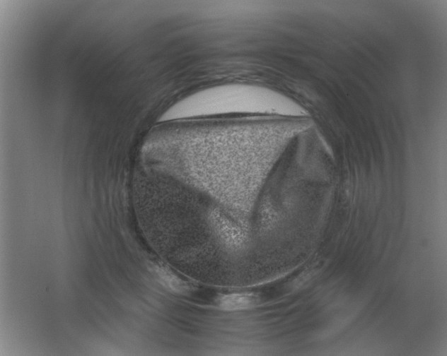 X0000062130461200512231443