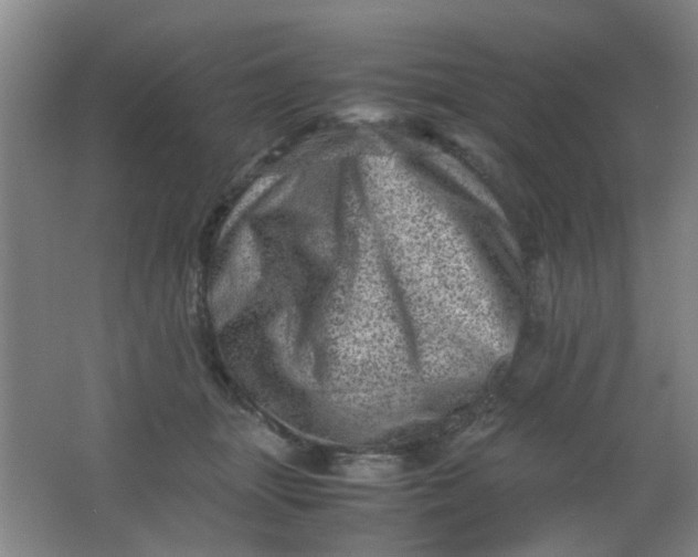 X0000062130463200512231443