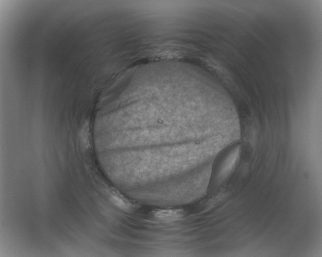 X0000062130465200512231443