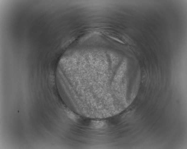 X0000062130469200512231443