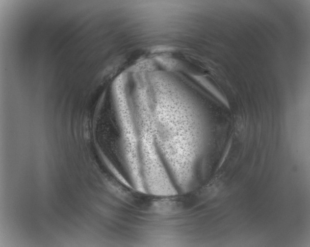 X0000062130470200512231443