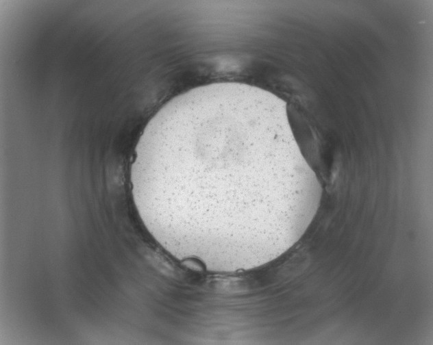 X0000062130472200512231443