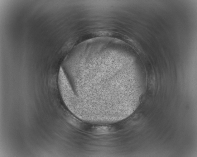 X0000062130473200512231443