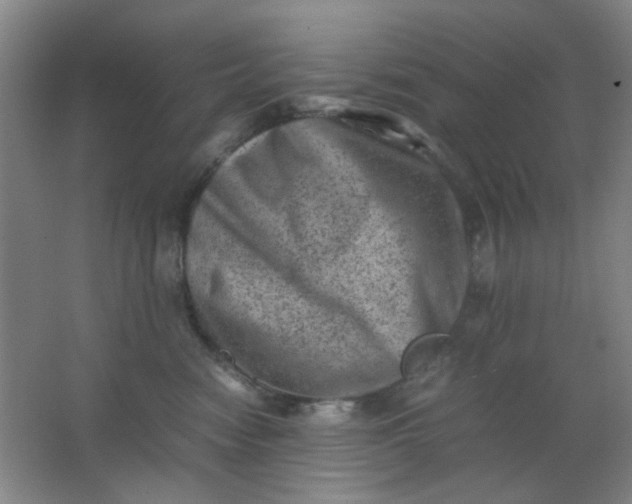 X0000062130474200512231443