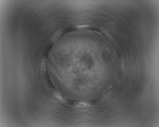 X0000062130475200512231443