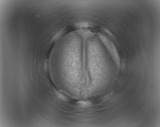 X0000062130477200512231443