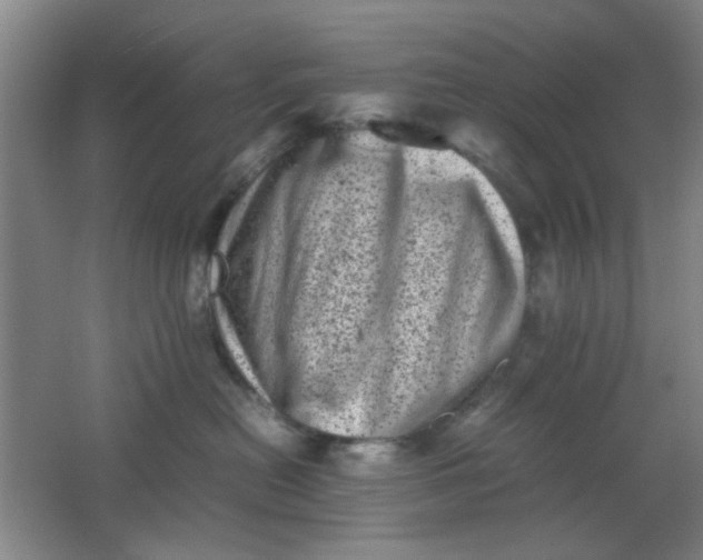 X0000062130478200512231443