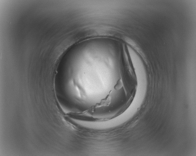 X0000062130481200512231442